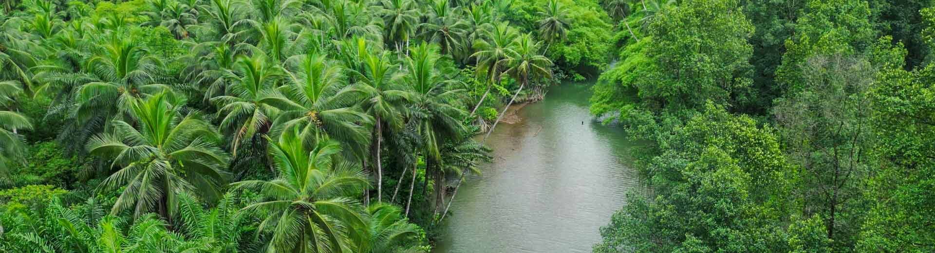 セントラル浄水器／サステナビリティ