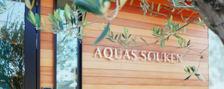 セントラル浄水器アクアス５／会社概要