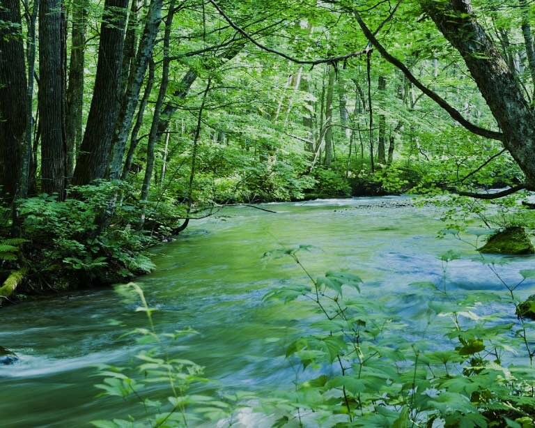 セントラル浄水器アクアス５／浄水性能