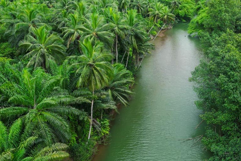 セントラル浄水器／サステナビリティ